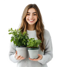 Plant Availability List