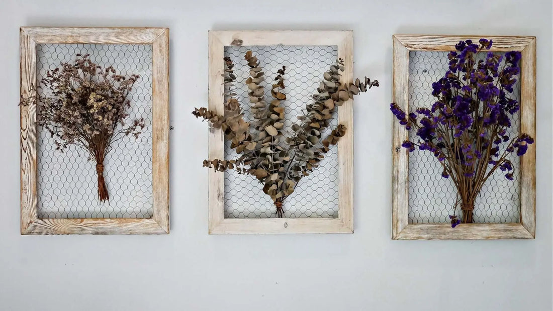 Three rustic wooden frames with dried garden florals behind wire mesh