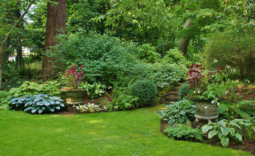 Tips On Growing Beautiful Garden Plants