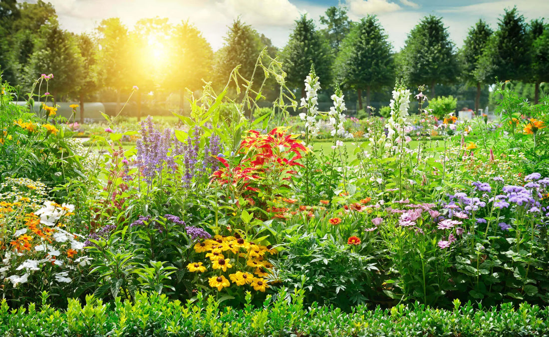 Vibrant sunlit garden with colorful seasonal flowers amid lush green foliage
