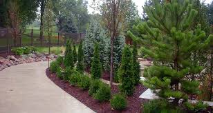 Curved beige walkway edged by trimmed evergreen shrubs in Tennessee garden