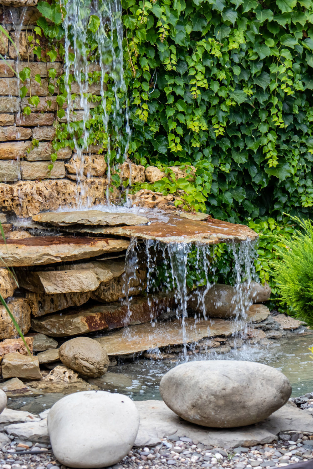Creating a Rain Garden with Native Plants: A Complete Design Guide
