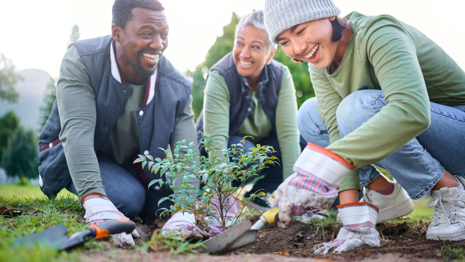 Gardening Plants