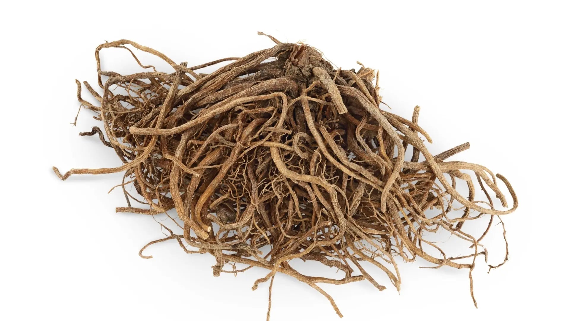 How to Keep Plant Roots Healthy – Tennessee Wholesale Nursery