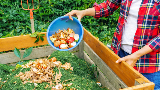 Compost Pile