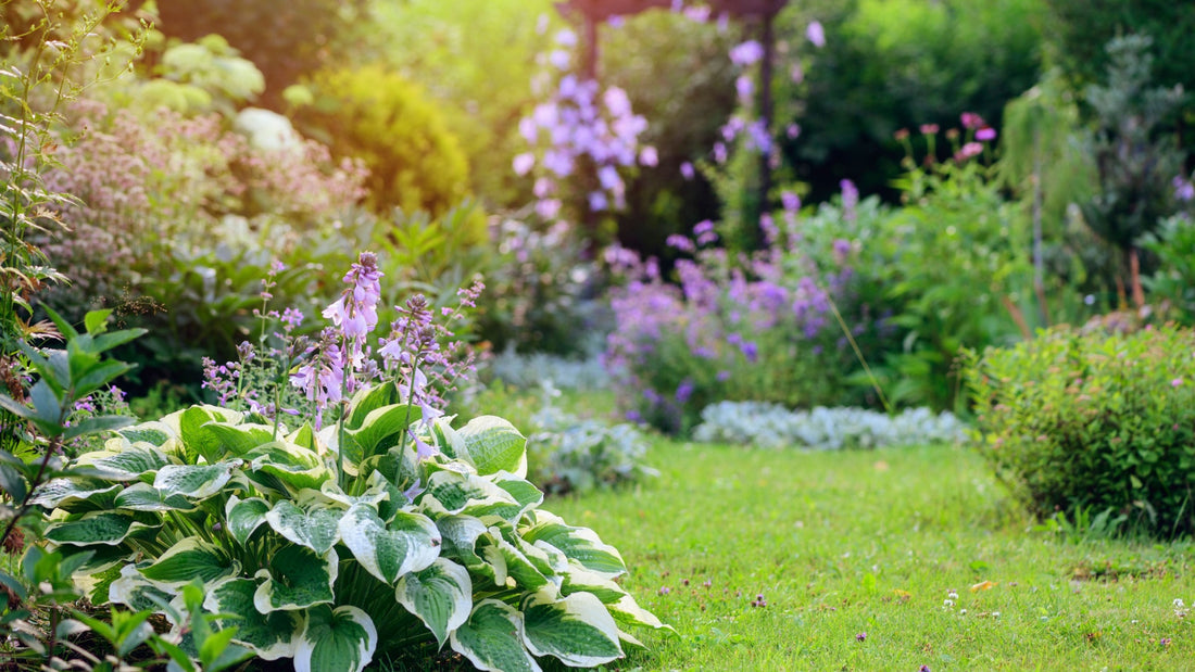 thick garden