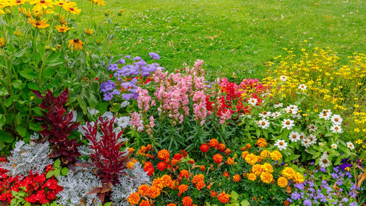 Colorful Garden Ideas for Every Season