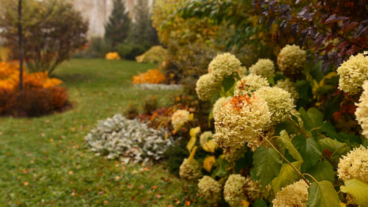 Fall Gardening