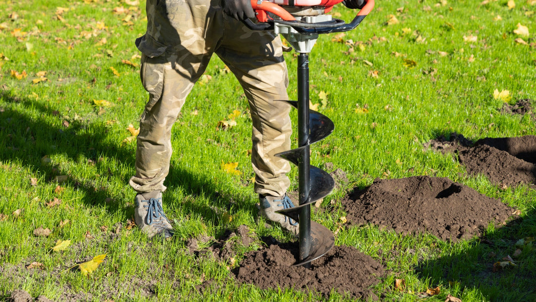 Planting Shrubs