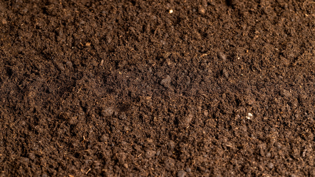 Soil