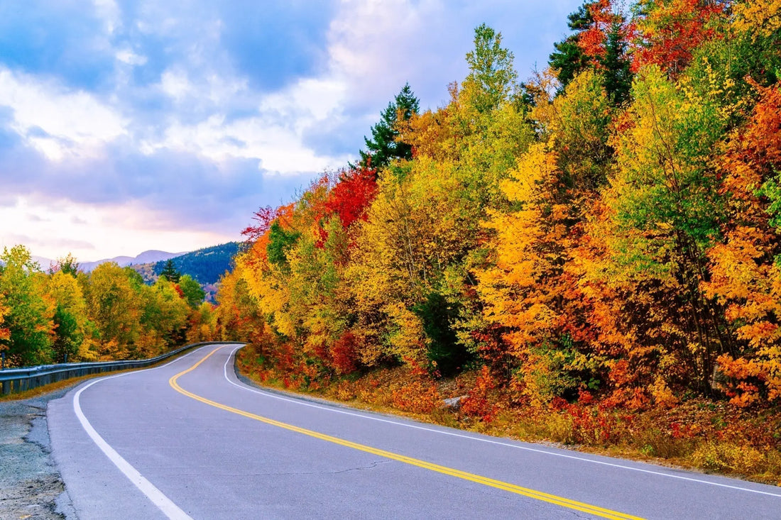 Winding road through spectacular fall foliage symphony in autumn forest