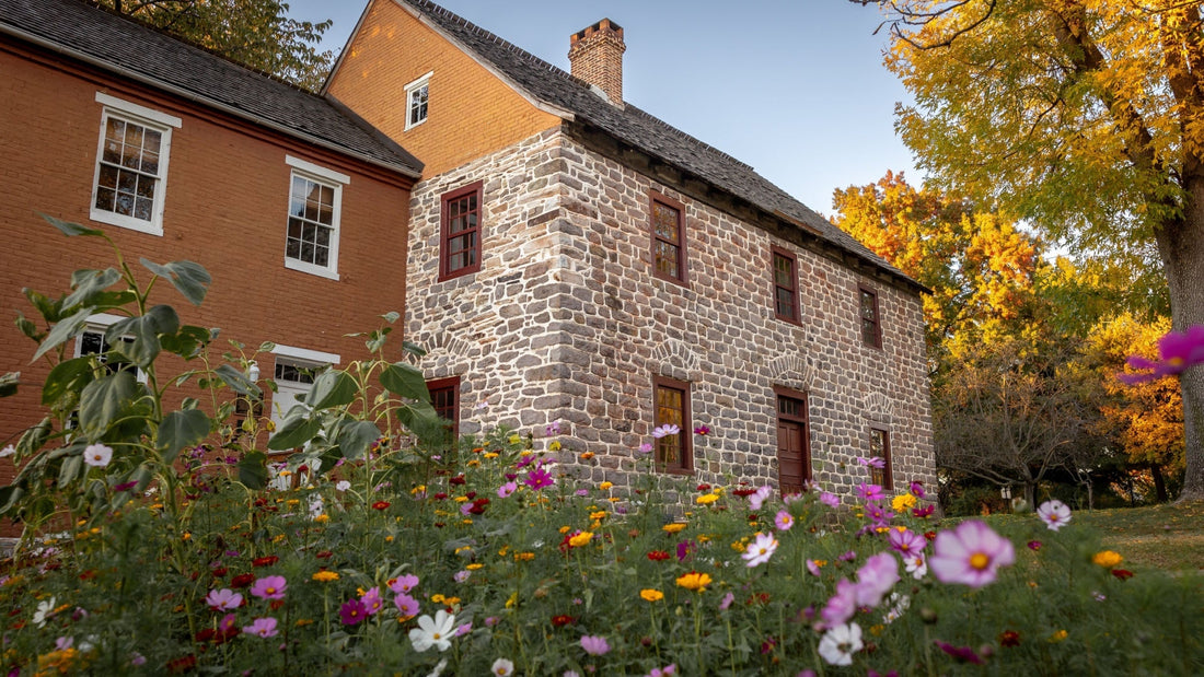 Wildflowers In The Fall