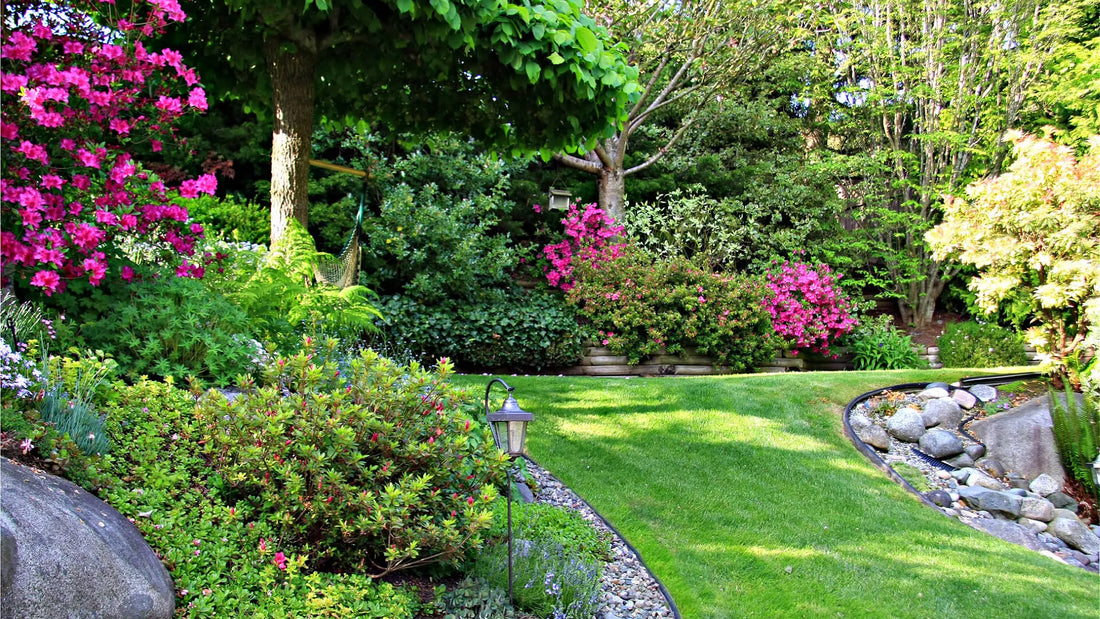 Lush green lawn with pink flowering bushes and winding stone path in harmonious landscape
