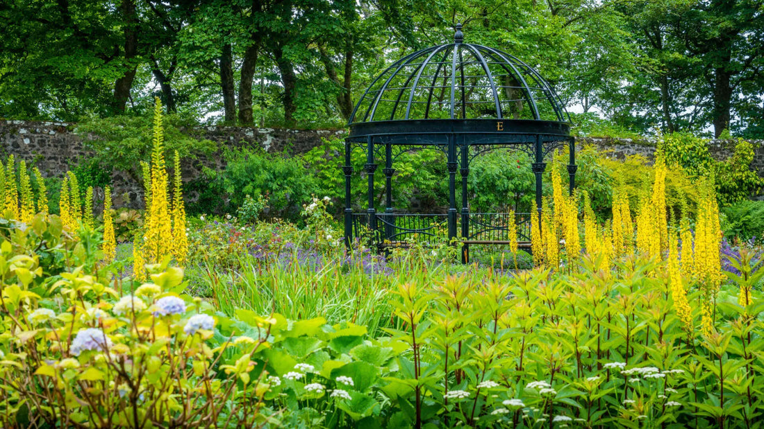 Black wrought iron gazebo with domed roof in Scottish garden