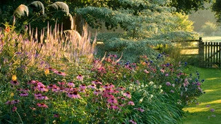 Perennials Make Wonderful Flower Gardens