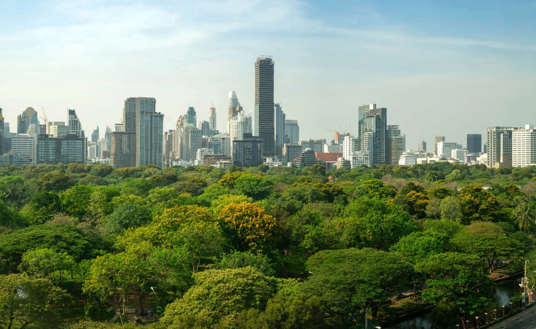 Urban tree canopy: lush green forest contrasts dense city skyline