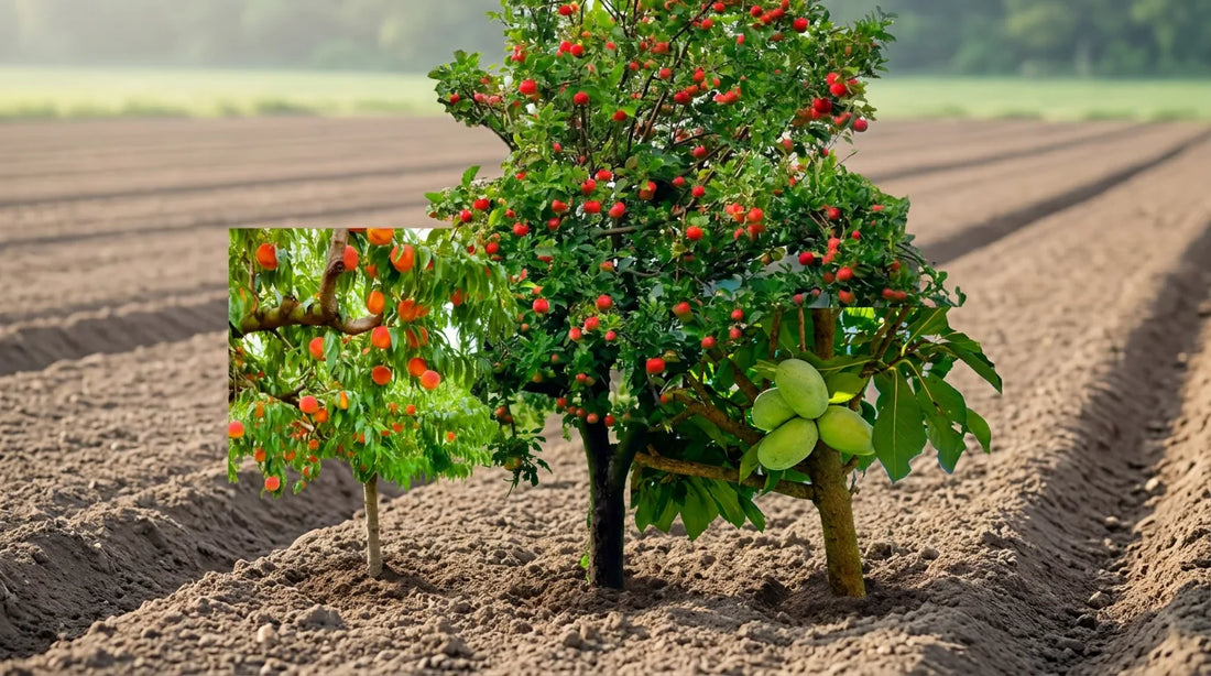 Top Wholesale Seedlings for Reliable Landscape Projects