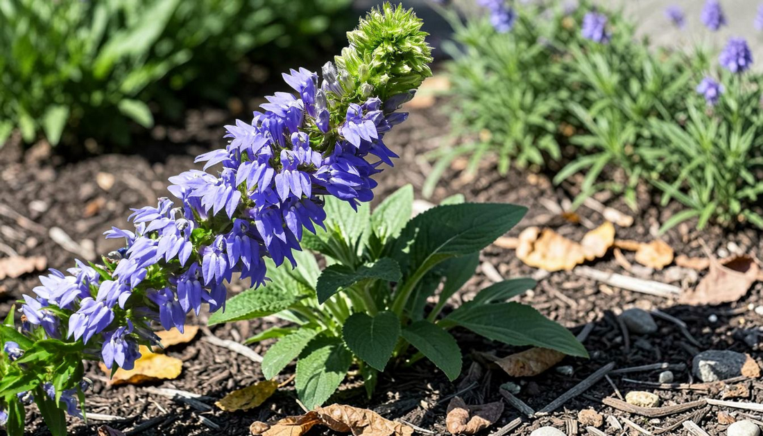 Best Wholesale Perennials for Reliable Landscape Color
