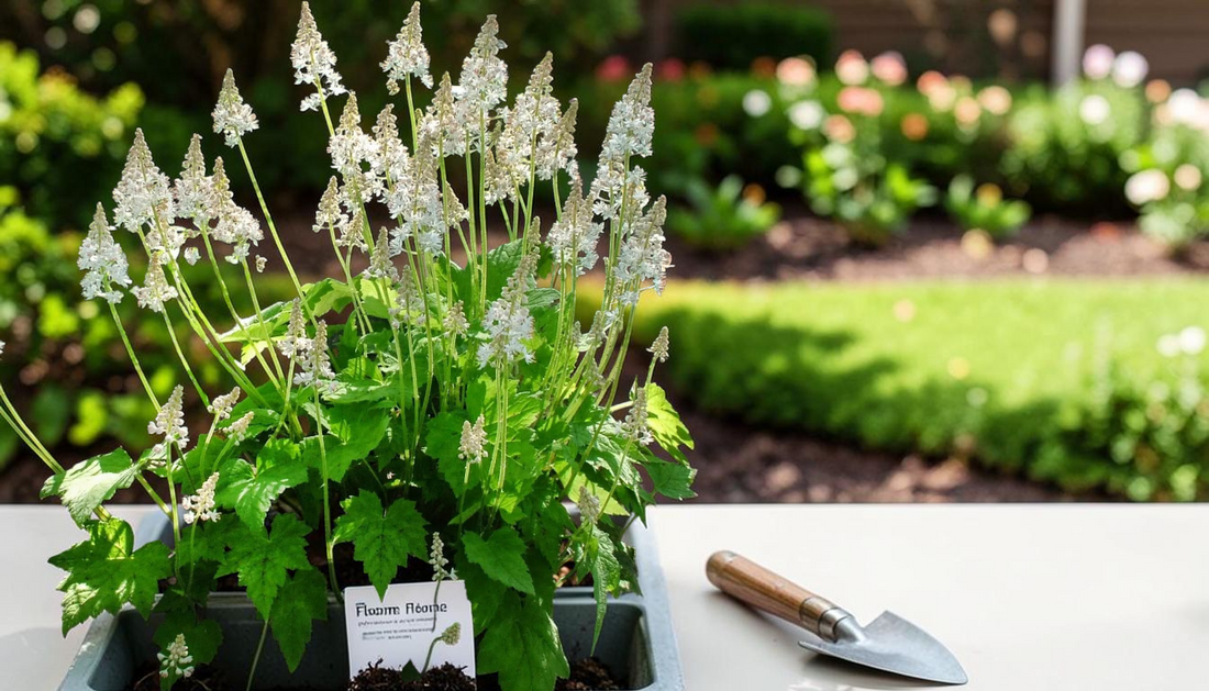 Floam Flower Guide: Best Wholesale Planting Tips