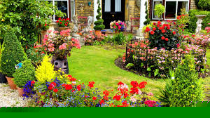Vibrant garden of colorful flowering shrubs and lush greenery