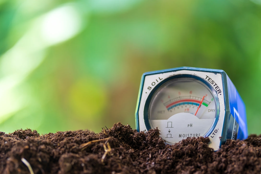 Soil PH testing