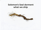 Solomon's Seal