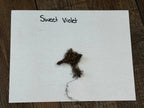 Dried Purple Violet root with tangled earthy brown roots and fibrous crown