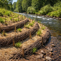 Brush layers of woven twigs and wooden posts lining riverbank
