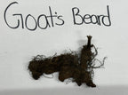 Dark brown tangled goats beard root system labeled for Goats Beard Plant