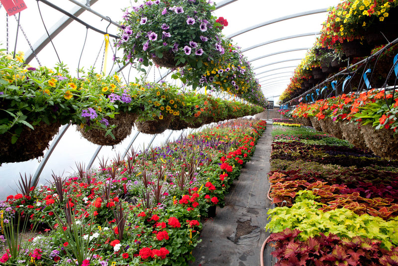 Commercial Landscaping