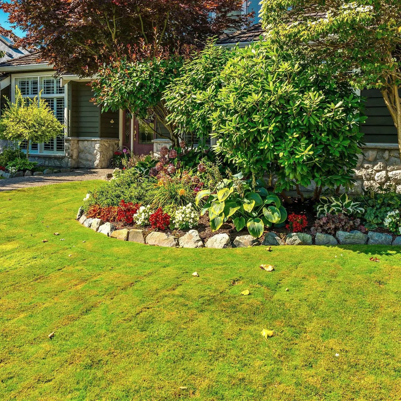 Lush green lawn with stone edge and vibrant flowerbeds for Lawn Moss