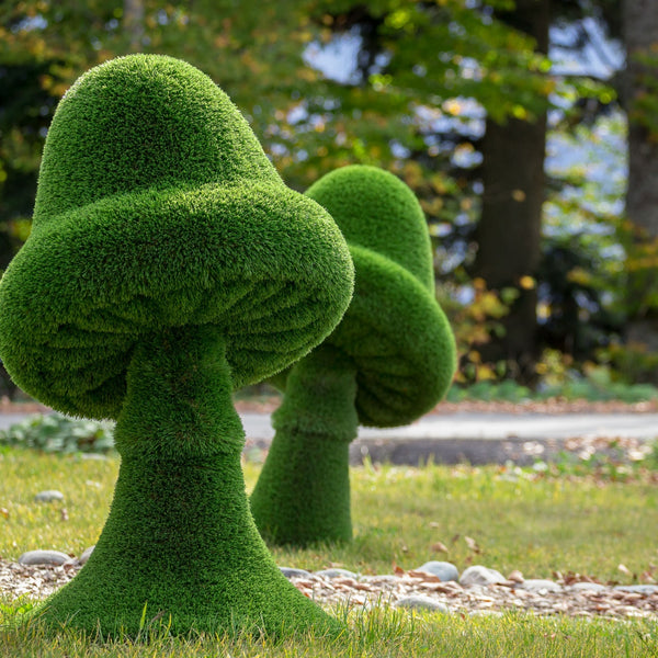 Topiary Moss